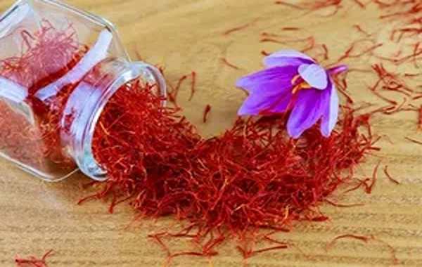 تصویر 2 از خرید و قیمت زعفران سحرخیز مشهد + فروش صادراتی